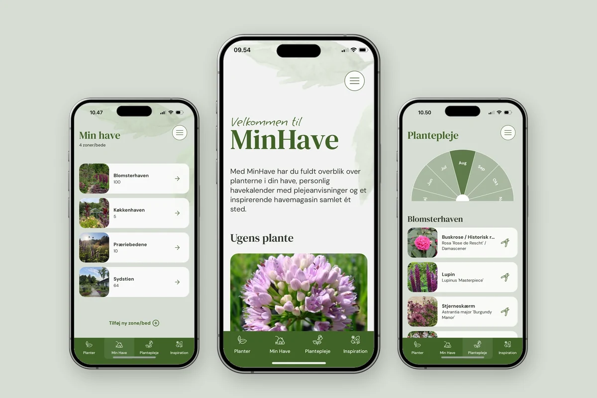 Case Feature