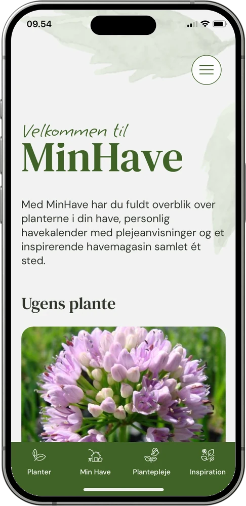 MinHave Preview